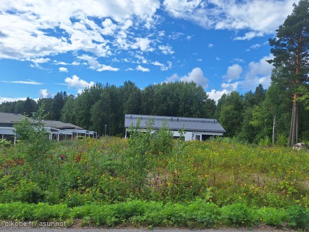 Asuntoilmoituksen kuva