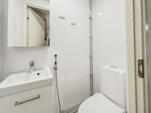 Erillinen wc tuo asumismukavuutta