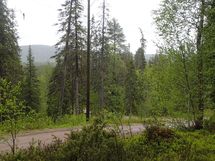 Salla, Sallatunturi, Metsäpolku