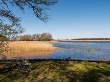 yhteisranta