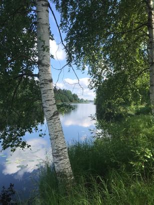 Kohdekuva