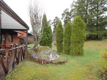 Terassi ja takapihaa