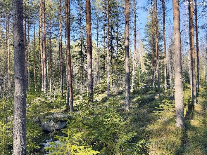 Kohdekuva