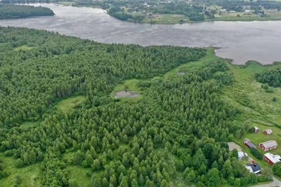 Tontti, 5 658 m², Haaparanta - Näkymä 2