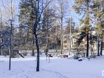 Kiva, puistomainen pihapiiri