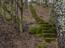 Kuin peikkometsän portaat