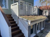 Takapihan viherkatto