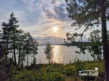 Vesijärven ranta lähellä 