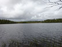 Rovaniemi-Venejärvi