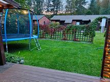 myyjän ottamia kesäkuvia