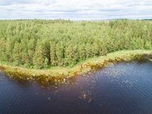 Puumala, Saimaa, Laakko