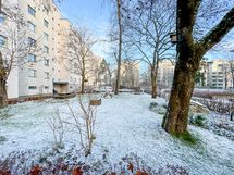 Näkymä piha alueelta