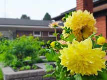 Tunnelmaa pihassa kesällä