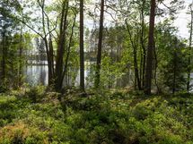 Heinävesi Pilppa Karjalansaari