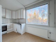 Siistikuntoinen keittiö on hyvin varustettu ja pöydälle on tilaa.