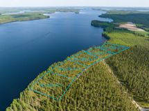 Sotkamo, Pieni-Kiimanen, Kaitainsami