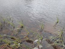 Rovaniemi-Venejärvi