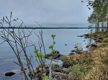 Kajaani, Laakajärvi, Haahkantie