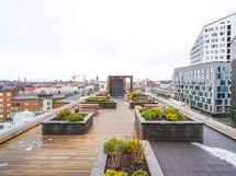 Oleskelupiha, 7. krs.