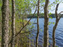 Varkaus, Miehalanjärvi, Miehalansuontie