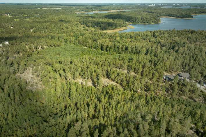 Kohdekuva