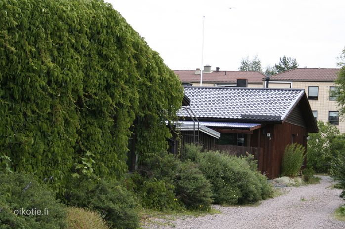 Talokuva