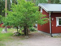 Sivupiha kesällä