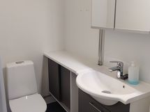 Erillinen wc