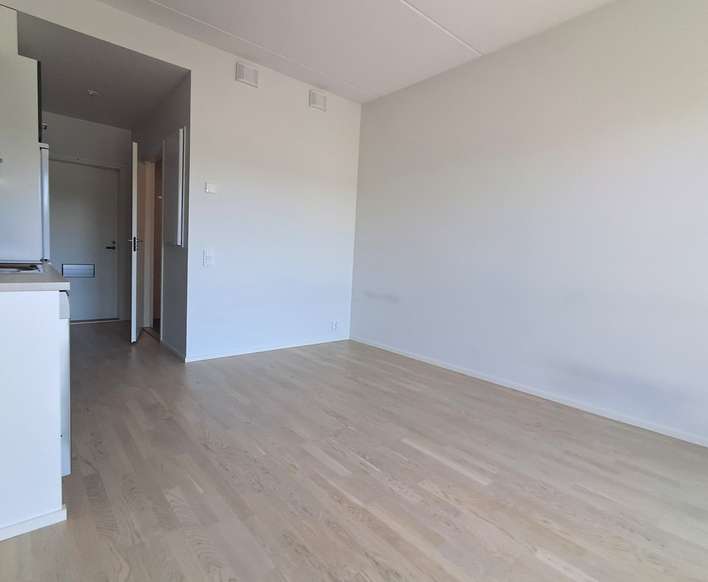 Kerrostalo, 1h+kt+parveke, 22,5 m², Annala – pohled 4