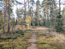 Ulkoilureitit tontin nurkalta