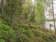 Varkaus, Miehalanjärvi, Sopalanniementie