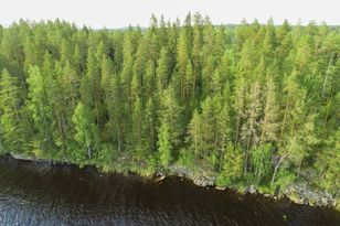 Kohdekuva