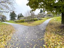 Lenininpuisto kävelymatkan päässä.