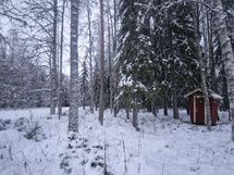 metsä ja kuivakäymälä