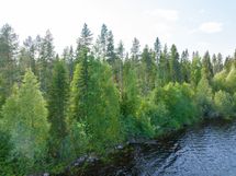 Sotkamo, Pieni-Kiimanen, Kaitainsalmi