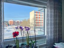 Näkymä olohuoneesta.