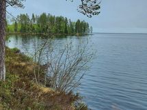 Kajaani, Laakajärvi, Metsäkukantie