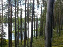 Suomussalmi, Kaunisniemi-Merkkivirta