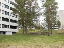 Taloyhtiön sisäpihaa