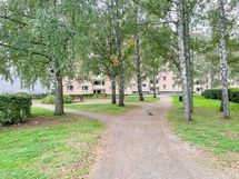 Alueella on mukavasti ulkoilumahdollisuuksia.