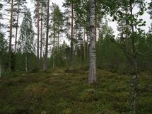 Sonkajärvi, Raudanvesi