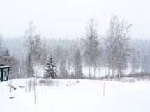 Tilava tontti rantaan saakka