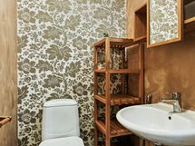 Alakerran erillinen wc