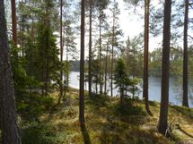 Ylöjärvi, Kuru, Heinuu ja Poikelisjärvi