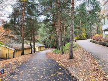 Ulkoilumaasto lähtee Maistraatinkadulta.