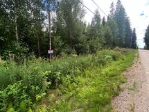 Kuva tien suuntaisesti Hyvinkään suuntaan. Myyntikyltti tämän puolen rajamerkkinä.