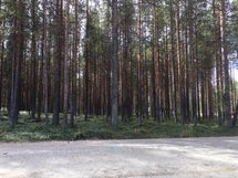 Kemijärvi, Soppela