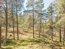 Parvekkeelta rauhallinen näkymä
