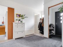 Image delivery from Zentuvo to Linear