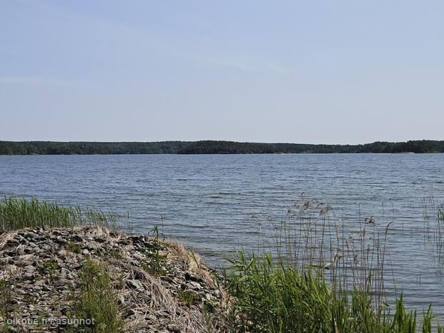 Asuntoilmoituksen kuva